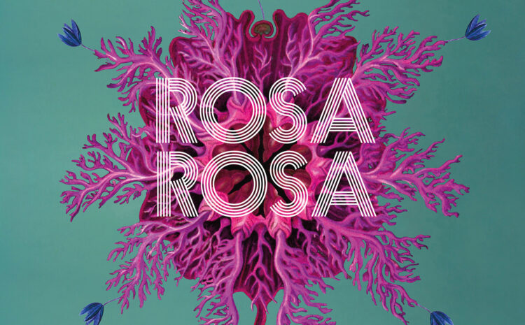  Rosa Rosa – Hawaïï (17)